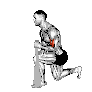 Biceps Squeeze with Towel