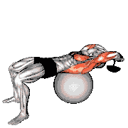 Dumbbell Lying Pullover on Exercise Ball
