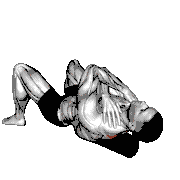 Roll Rhomboids