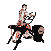 Lever Elliptical Static Walk