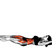 V-Up demonstration