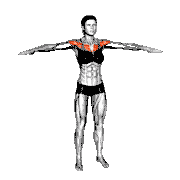 Arm Crossover demonstration