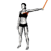 Resistance Band Shoulder Adduction