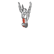 Hanging Deadbug