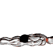 Prone Cervical Extension