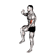 Standing Biceps Curl (with Leg)