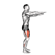 Bodyweight Squat