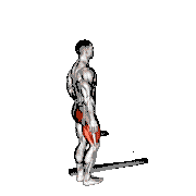 Standing Single Leg High Knee to Butt Kick with Support demonstration