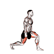 Dumbbell Static Lunge