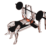 Barbell Pause Bench Press demonstration