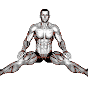 Seated Wide Angle Pose Sequence demonstration