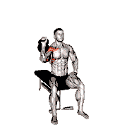 Kettlebell Seated One-Arm Military Press