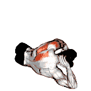 Dumbbell Lying on Floor Rear Delt Raise