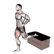 Split Squat on Padded Stool Supported