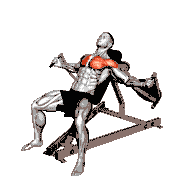Lever Incline Fly
