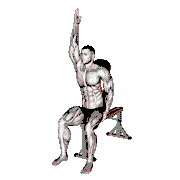 Seated Lower Back Stretch