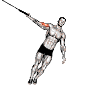 Ring One-Arm Biceps Curl