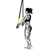 Suspender Single Leg Deadlift demonstration