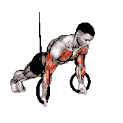 Ring Reverse Push-Up