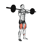Barbell Pause Front Squat demonstration