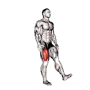 One-Leg Quarter Squat