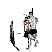 Cable Standing High Cross Triceps Extension