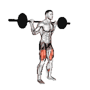 Barbell Box Squat demonstration