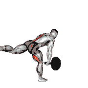 Landmine Single Leg Landmine RDL