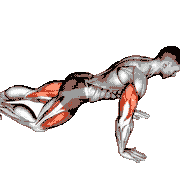 Spider Crawl Push-Up