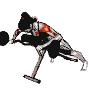 EZ Bar Anti Gravity Press