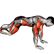 Mountain Climbers Shoulder Tap