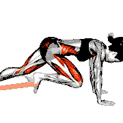 Resistance Band Plank March