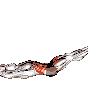 V-Up Double Crunch demonstration