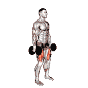 Dumbbell Squat