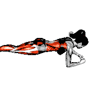 Front Plank with Arm and Leg Lift