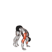 Handstand