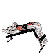 Decline Sit-Up
