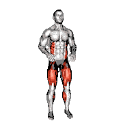 Bodyweight Knee to Hand Tap