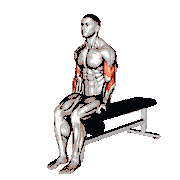 Kettlebell Alternate Biceps Curl