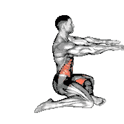 Shin Box Switch
