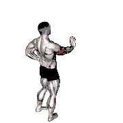 Single Arm Push-Up Supported Wall