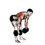 Dumbbell Palm Rotational Bent-Over Row