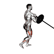 Landmine Rear Lunge (Two-Arm)