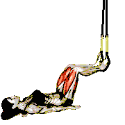 Suspender Hip Bridge demonstration