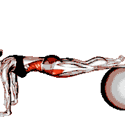 Pull In (on Stability Ball)