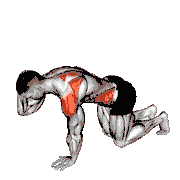 Kneeling Back Rotation