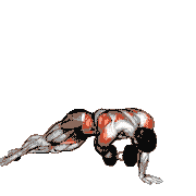 Dumbbell Side Plank with Rear Fly