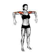 Downward Punch demonstration