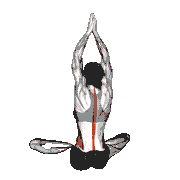 Seated Upper Body Rotation