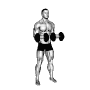 Dumbbell Standing Arms Rotate